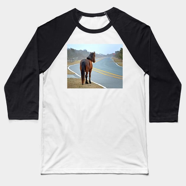 Assateague Pony Looking Down the Road Baseball T-Shirt by Swartwout